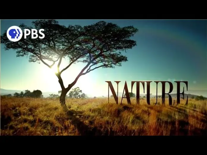 Видео к сериалу Природа — Welcome to PBS Nature