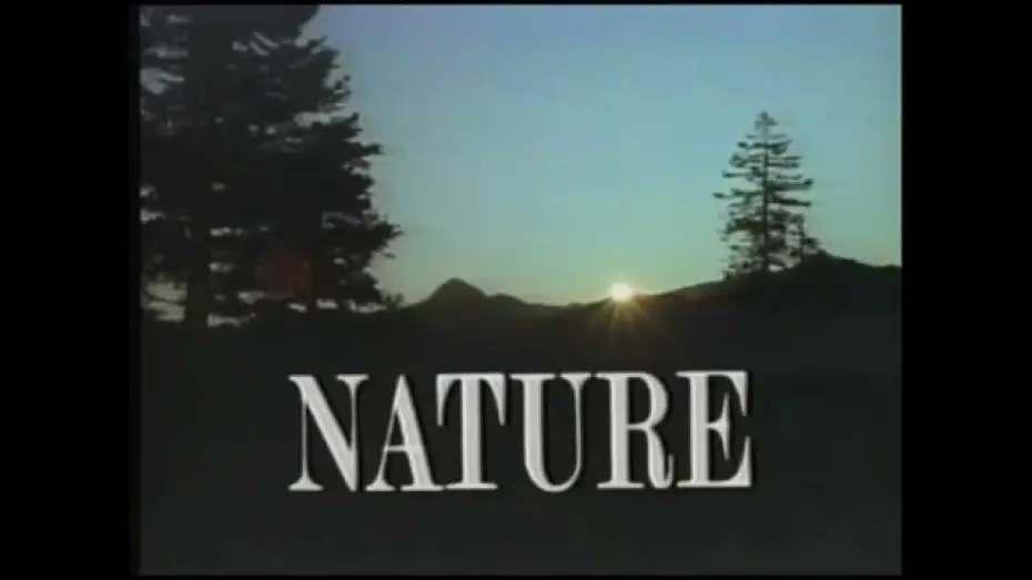 Видео к сериалу Природа — Intro to Nature - PBS (1987)