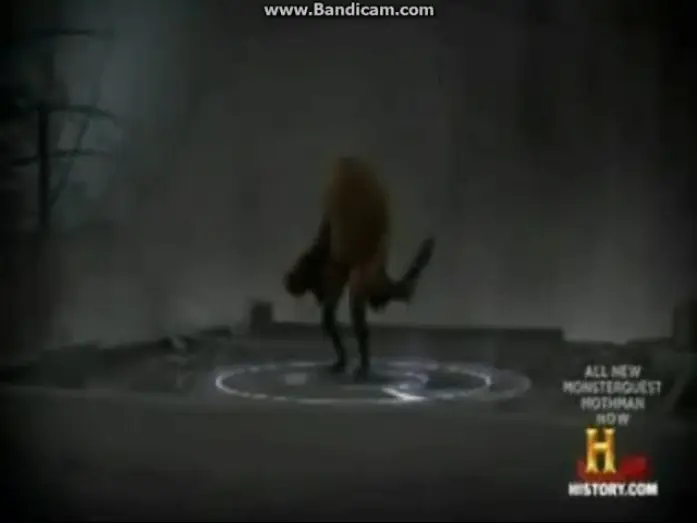 Відео до серіалу Полювання на монстрів — MonsterQuest Mothman Description