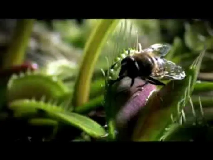 Відео до серіалу Життя — Life - BBC 2009 Trailer - Documentary