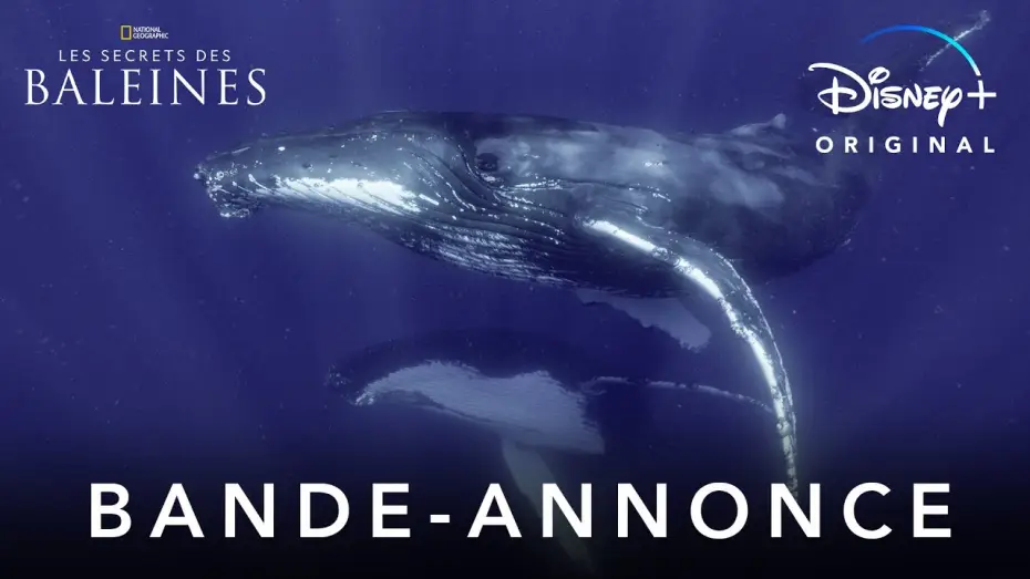 Відео до серіалу Таємниці китів — Les Secrets des Baleines - Bande Annonce [VF]