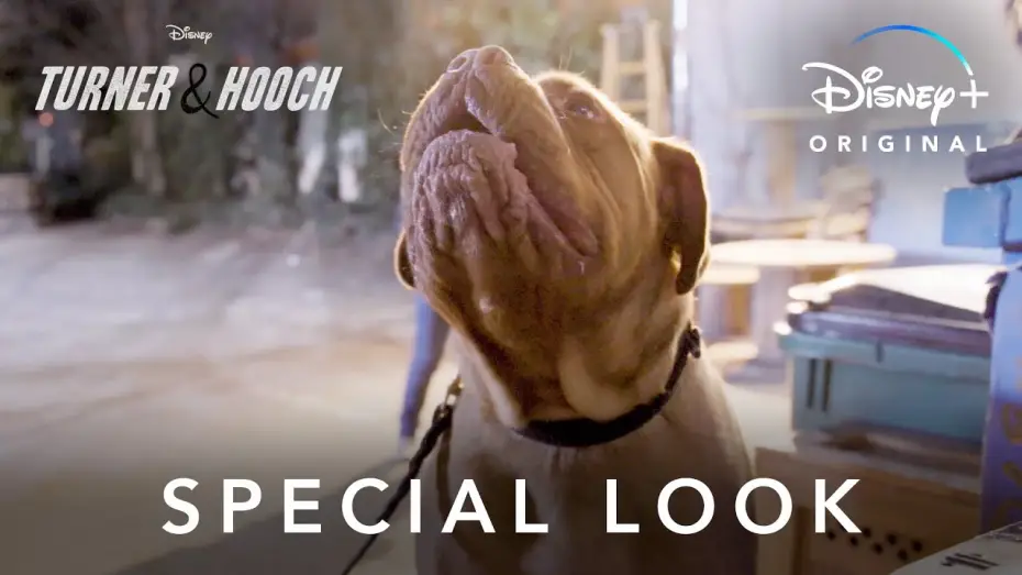 Відео до серіалу Тернер і Хуч — Special Look | Turner & Hooch | Disney+