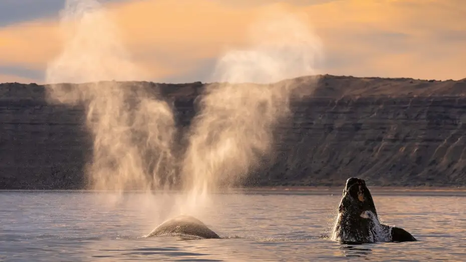 Відео до серіалу Планета Земля III — 15 Minutes of Relaxing Footage from Planet Earth III | Planet Earth III