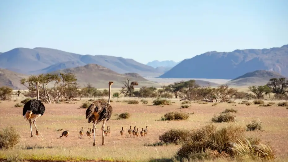 Відео до серіалу Планета Земля III — Sir David Attenborough on the Planet Earth series | Planet Earth III