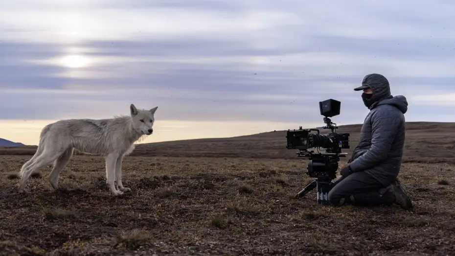 Відео до серіалу Планета Земля III — Filming a Pack of Arctic Wolves | Planet Earth III Behind The Scenes