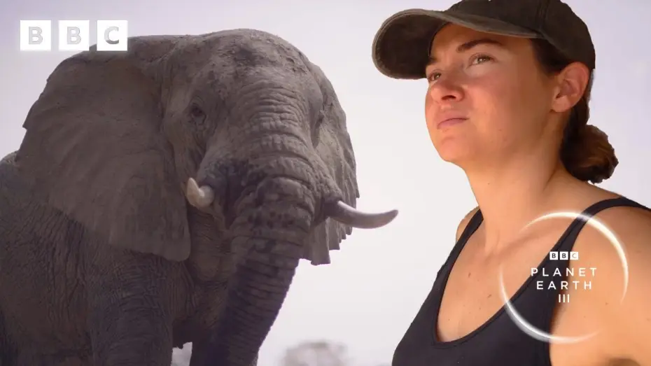 Відео до серіалу Планета Земля III — Elephants saved from poaching learn to trust again | Planet Earth III – Behind the scenes