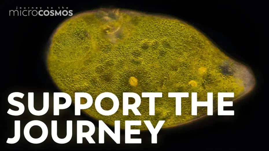 Відео до серіалу Подорож до мікрокосмосу — You Can Support The Microcosmos!