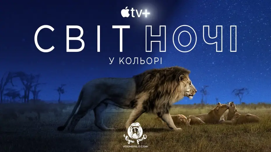 Відео до серіалу Кольори нічної планети — Світ ночі у кольорі / Earth at Night in Color - трейлер до док. серіалу