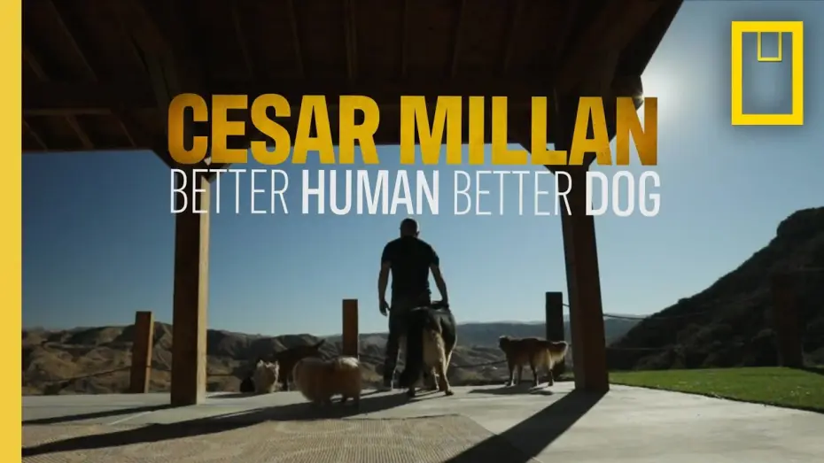 Відео до серіалу Cesar Millan: Better Human, Better Dog — Better Human, Better Dog | National Geographic