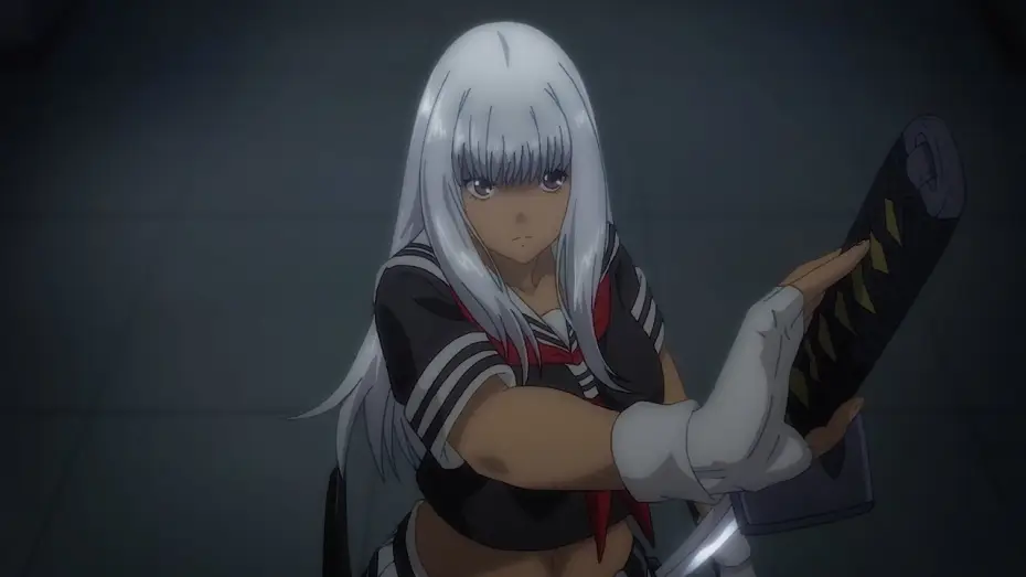Відео до серіалу Шин Іккі Тоусен — Shin Ikki Tousen | TRAILER OFFICIEL