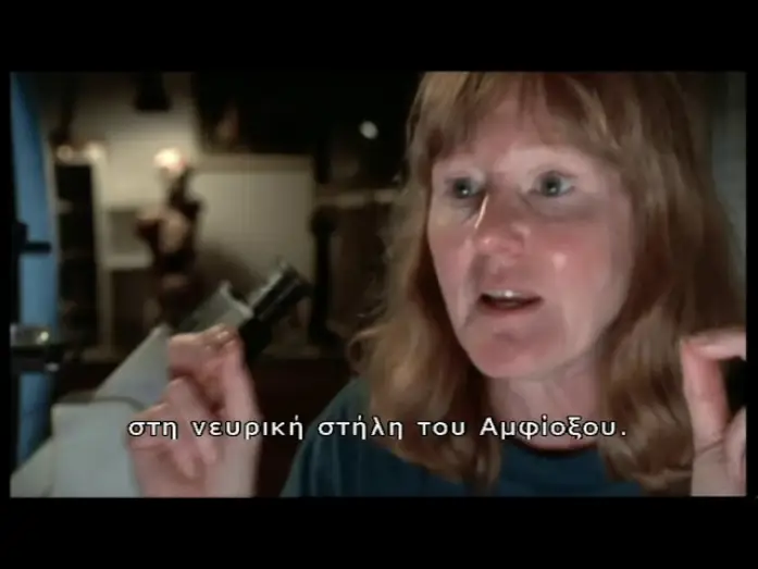 Відео до серіалу Форма життя — The Shape Of Life: Bones, Brawn and Brains (2001)