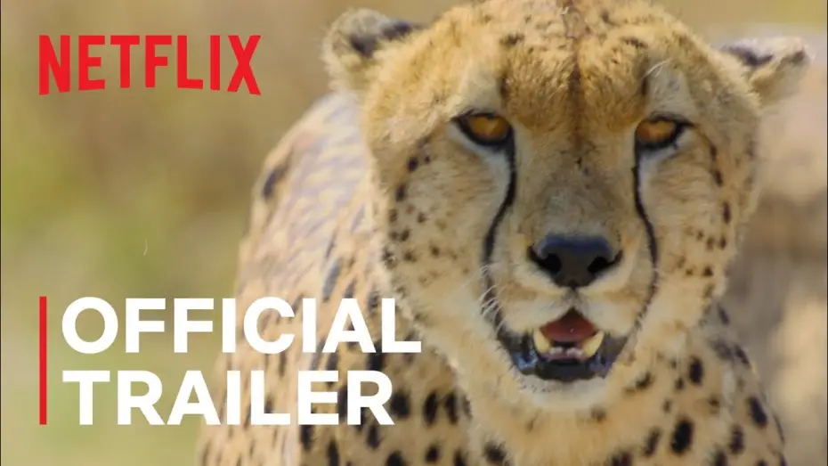 Відео до серіалу Дивовижні тварини — Animal | Official Trailer | Netflix