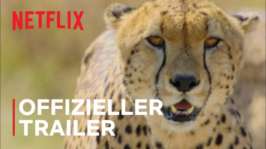 Відео до серіалу Дивовижні тварини — Das Tier | Offizieller Trailer | Netflix