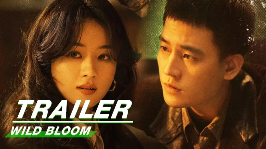 Відео до серіалу Дике цвітіння — Official Trailer: Wild Bloom | Zhao Liying x Oho Ou x Li Guangjie | 风吹半夏 | iQIYI