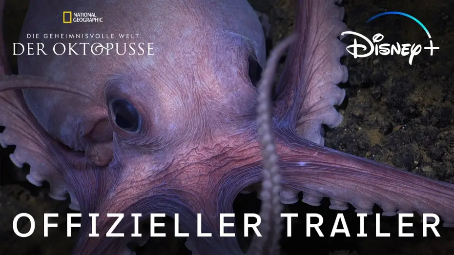 Відео до серіалу Secrets of the Octopus — Offizieller Trailer (OmdU)