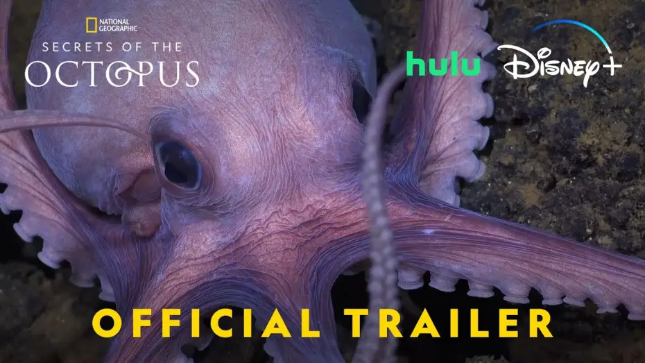 Відео до серіалу Secrets of the Octopus — Official Trailer