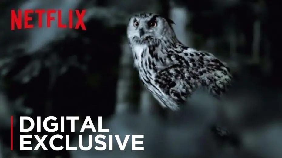 Відео до серіалу Soupçons — The Staircase | The Owl Theory | Netflix