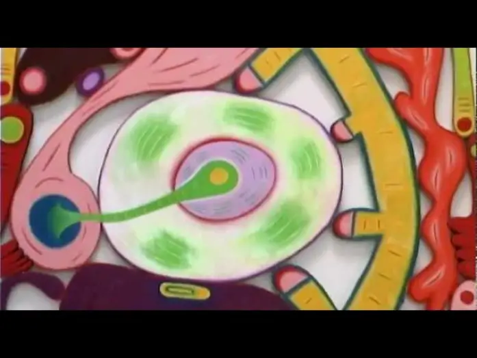 Відео до серіалу art21 — Сезон 2 — Trailer: Season 2 of "Art in the Twenty-First Century" (2003) | Art21