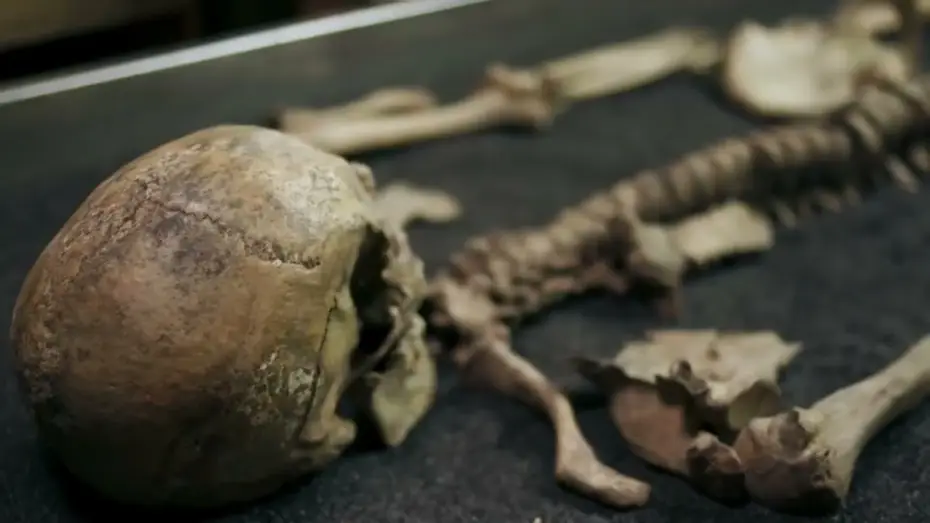 Відео до серіалу Люсі Ворслі розслідує — Lucy Worsley Investigates - Preview