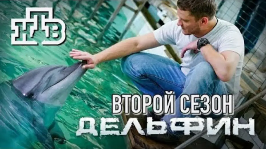 Відео до серіалу Дельфин — Трейлер сериала "Дельфин 2" [2022]
