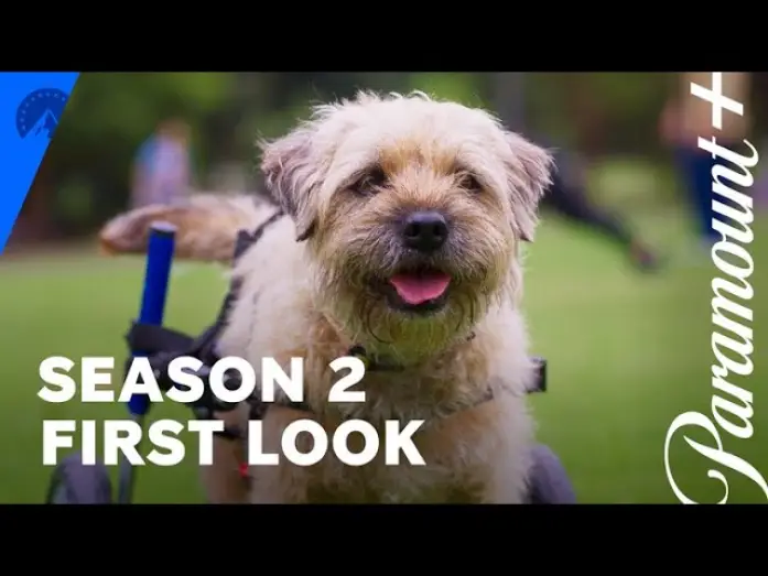 Відео до серіалу Колін із бухгалтерії — Season 2 US First Look