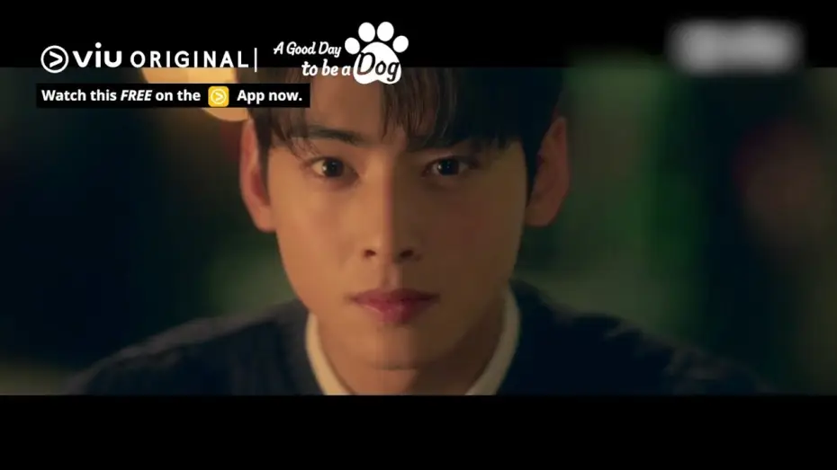 Відео до серіалу Хороший день, щоб бути собакою — Will Cha Eun Woo Kiss the Dog Version of Park Gyu Young? [ENG SUB]
