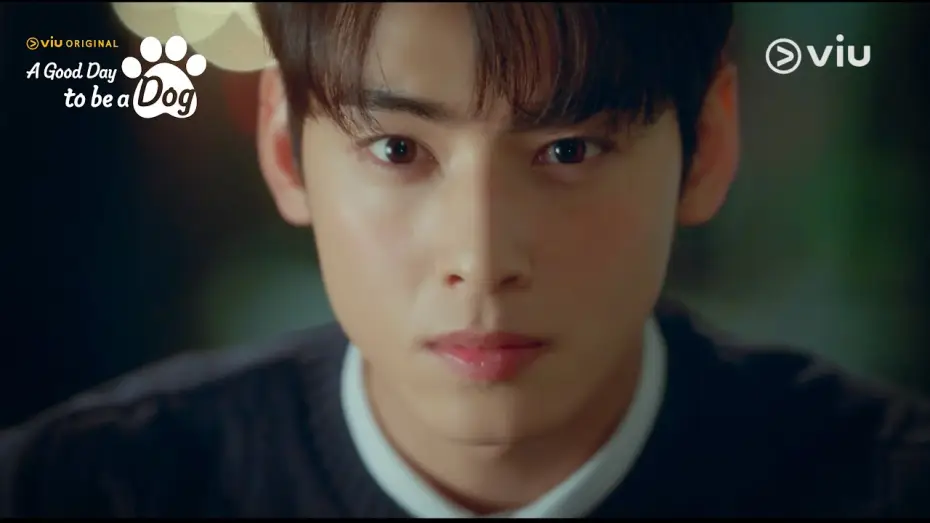 Відео до серіалу Хороший день, щоб бути собакою — Teaser 2: Cha Eun Woo's Paw-dorable Secret! [ENG SUB]