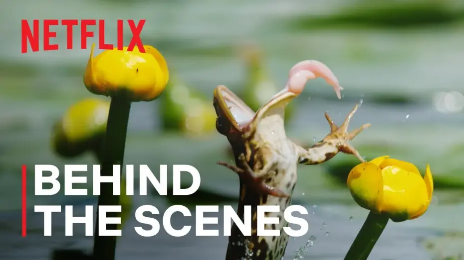 Відео до серіалу Наш живий світ — Shooting Frogs