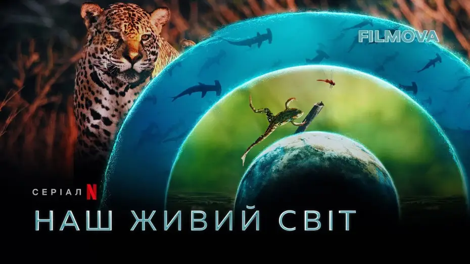 Відео до серіалу Наш живий світ — Наш живий світ | Кейт Бланшетт | Український дубльований трейлер | Netflix