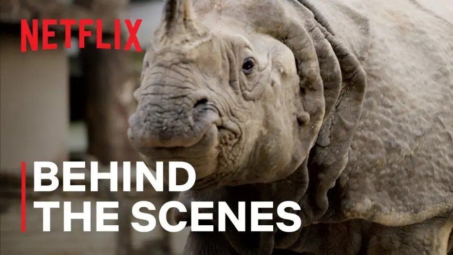 Відео до серіалу Наш живий світ — Rhinos in the City