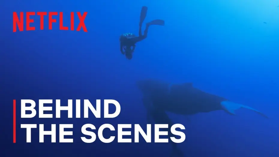 Відео до серіалу Наші океани — Filming Magnificent Humpback Whales