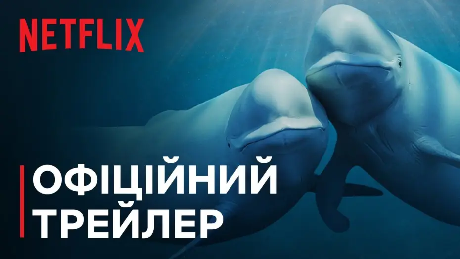 Відео до серіалу Наші океани — Офіційний трейлер [Субтитри]