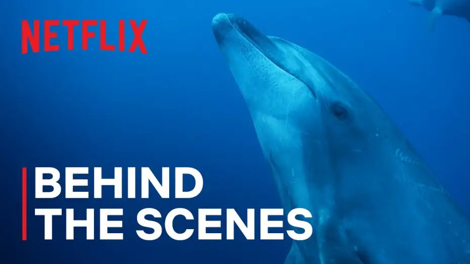 Відео до серіалу Наші океани — Dolphin Pirates