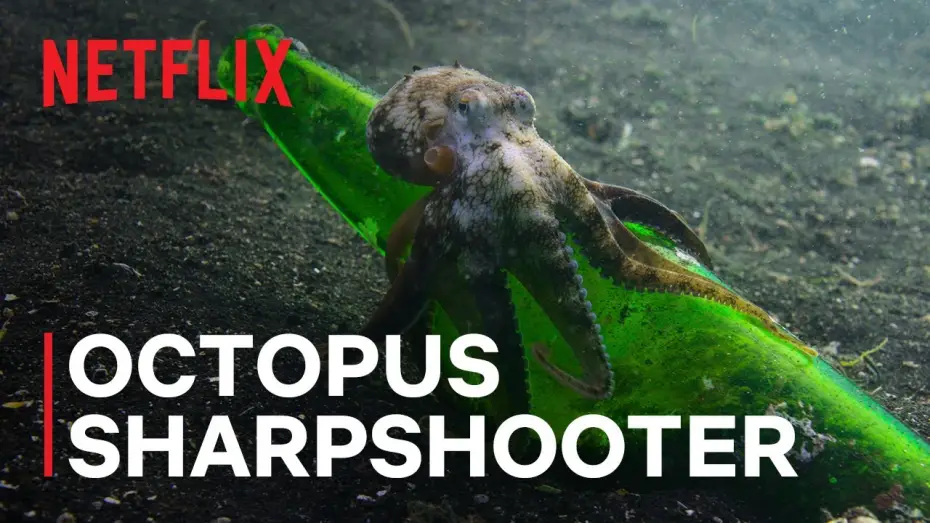 Відео до серіалу Наші океани — Octopus Sharpshooter