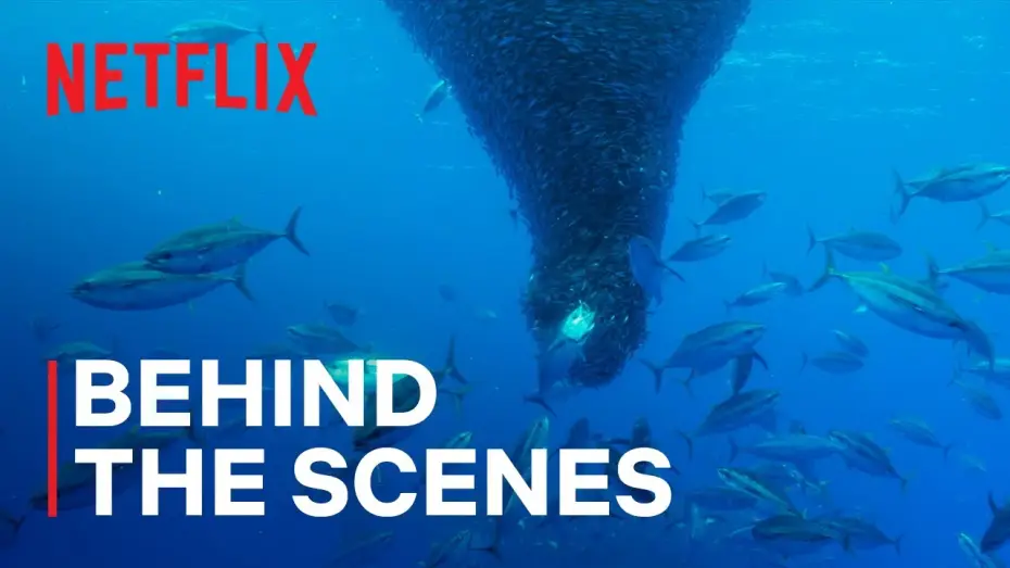 Відео до серіалу Наші океани — Fishnado!