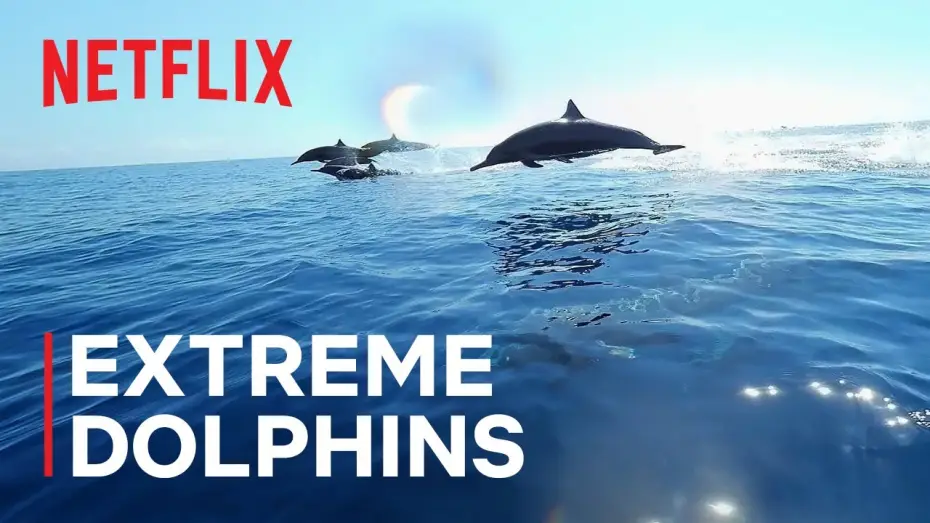 Відео до серіалу Наші океани — Extreme Dolphins