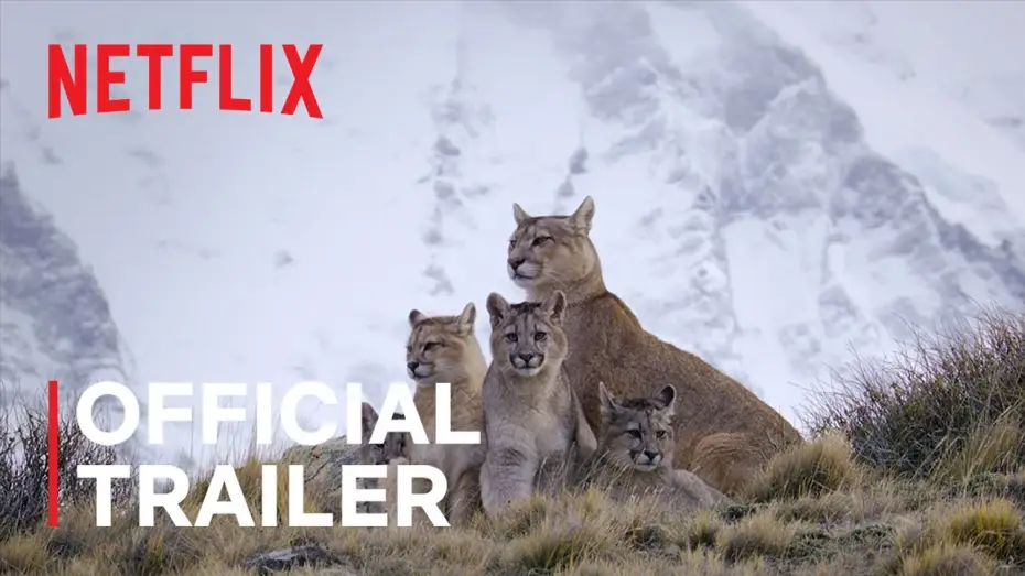 Відео до серіалу Світ хижаків — Official Netflix Trailer