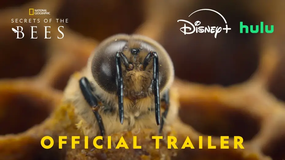 Відео до серіалу Secrets of the Bees — Official Trailer