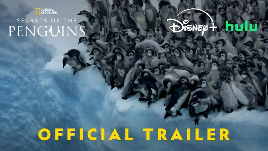 Відео до серіалу Таємниці Пінгвінів — Official Trailer