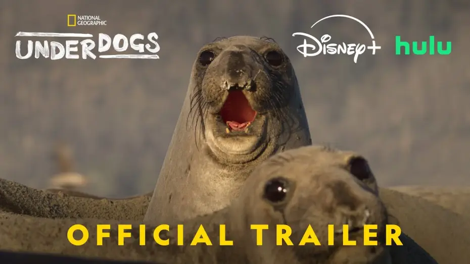 Відео до серіалу Underdogs — Official Trailer