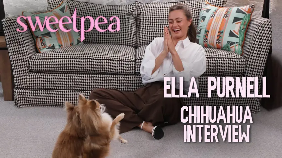 Відео до серіалу Солоденька — Ella Purnell's CHAOTIC interview with Chihuahuas