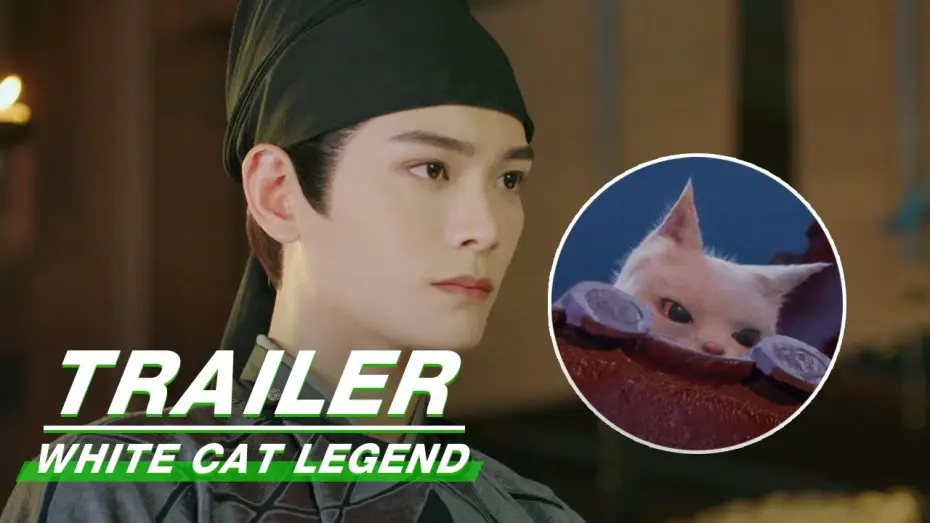Відео до серіалу Легенда про білого кота — White Cat Legend Trailer:The story of Cat Detective | 大理寺少卿游 | iQIYI