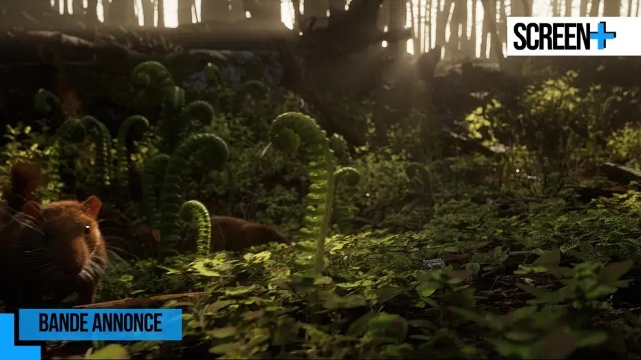Відео до серіалу Земля — Les 5 vies de la Terre sur France 5