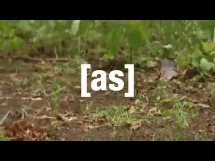 Відео до серіалу Off the Air — Adult Swim Promos - Off The Air