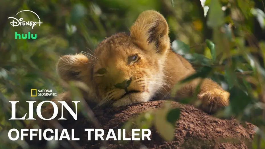 Відео до серіалу Lion — Official Trailer