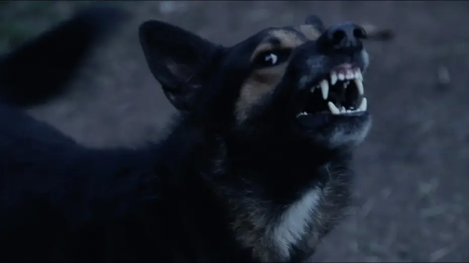 Відео до серіалу Бійся свого сусіда — FEAR THY NEIGHBOR 4x05 – "Pack Mentality" – Teaser