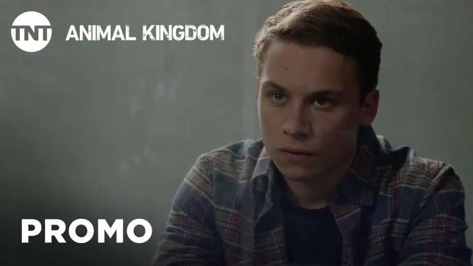 Відео до серіалу За законами вовків — Animal Kingdom: Shock - Season 3 Premieres This Summer [PROMO] | TNT