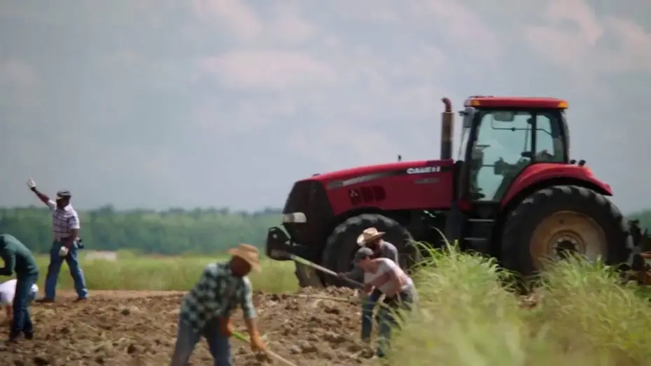 Відео до серіалу Queen Sugar — Queen Sugar on OWN Premieres September 7th