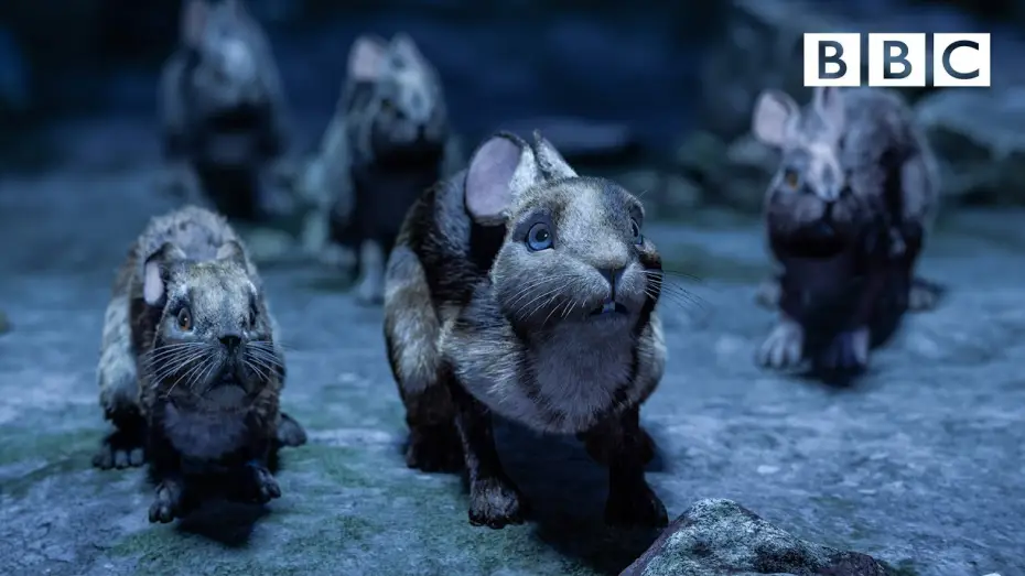 Відео до серіалу Мешканці пагорбів — Watership Down's brave rabbits make a daring escape - BBC