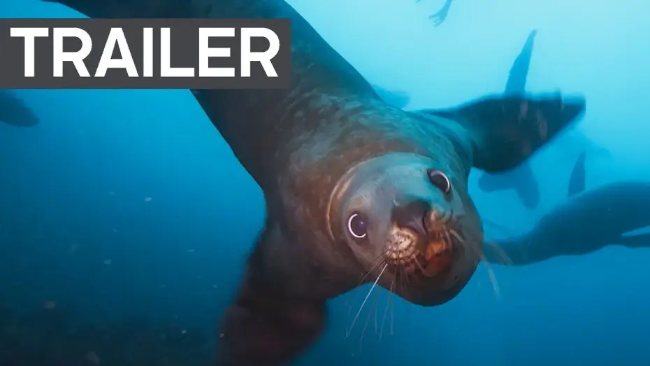 Видео к сериалу Планета Земля II — Blue Planet II Official Trailer 2 | BBC Earth